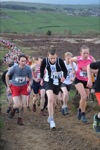 Click on thumbnail for larger photo
